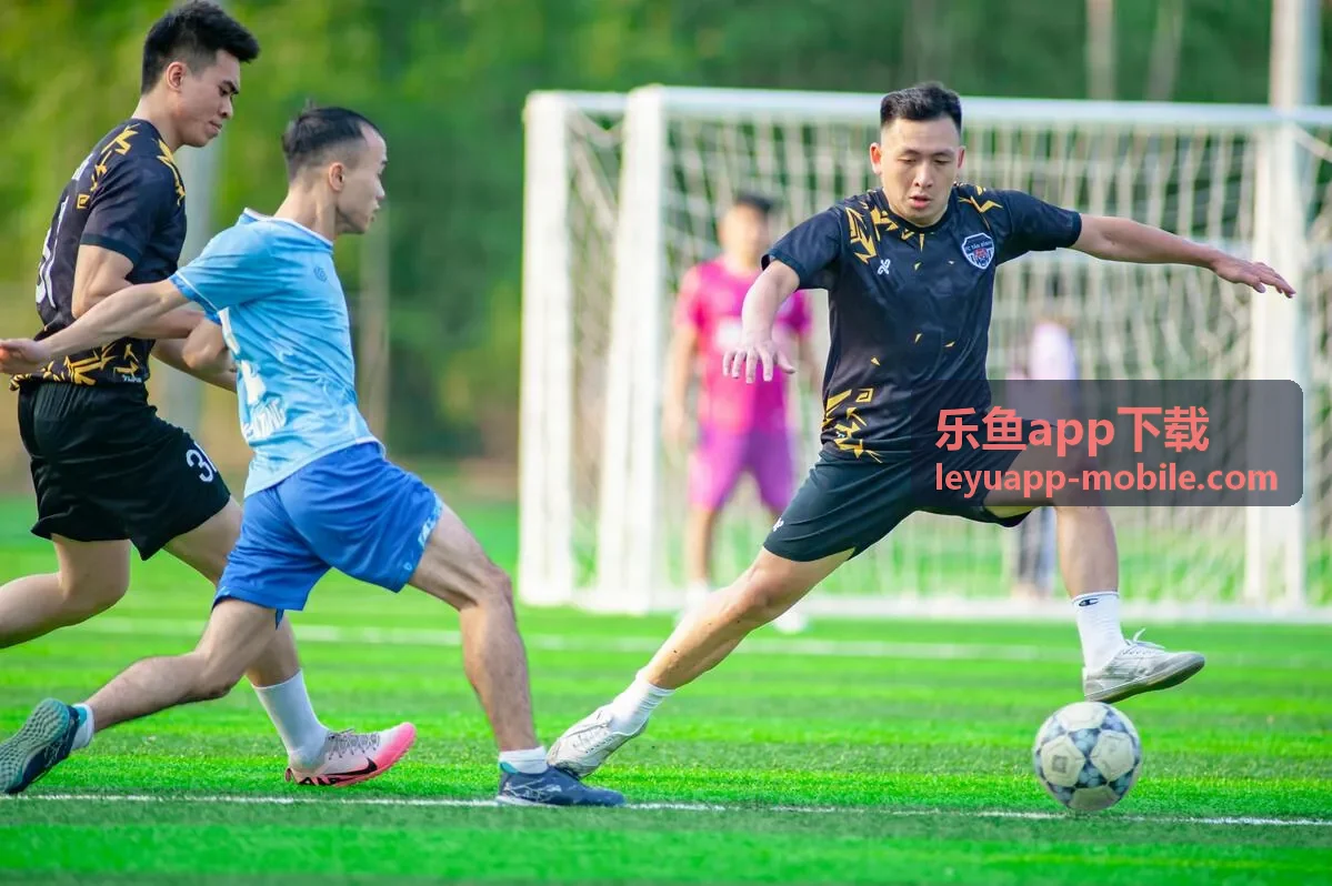 乐鱼app高清娱乐界面